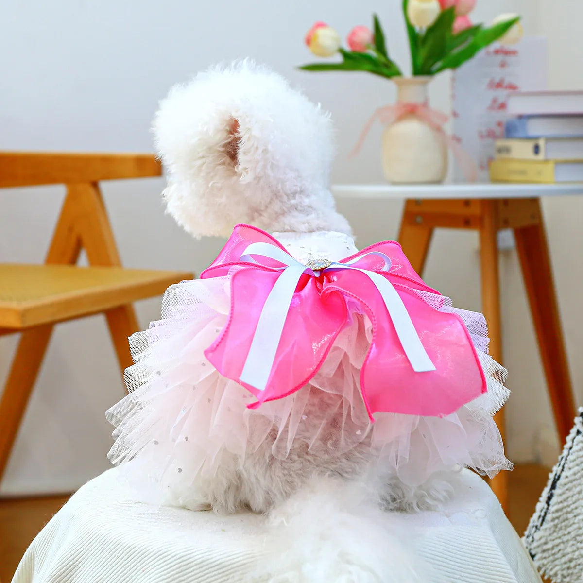 Princess Pet Dress