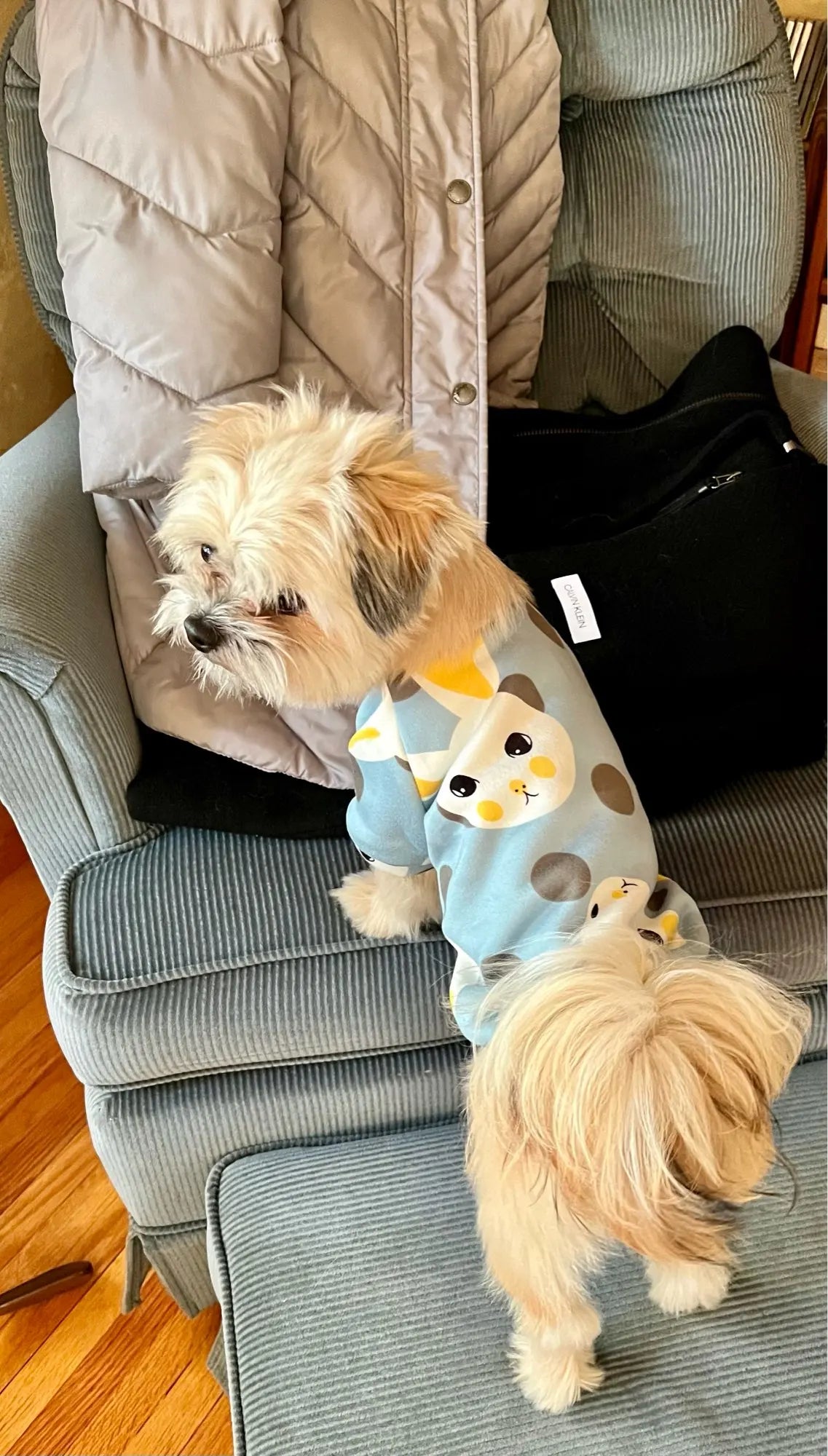 Small Dog Pet Jacket Shirt