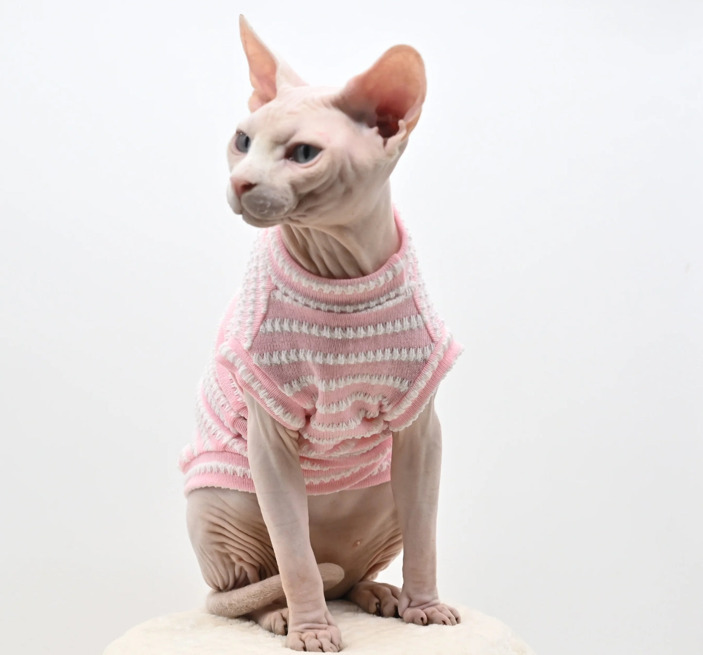Sphynx Cat Shirt