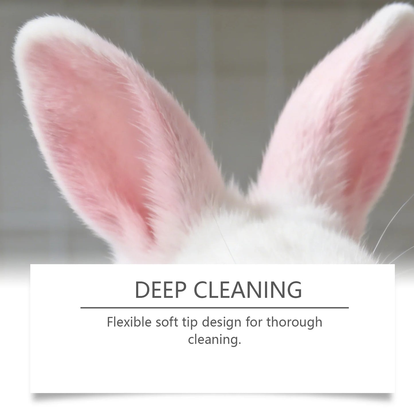 Pet Ear Cleaning Solution