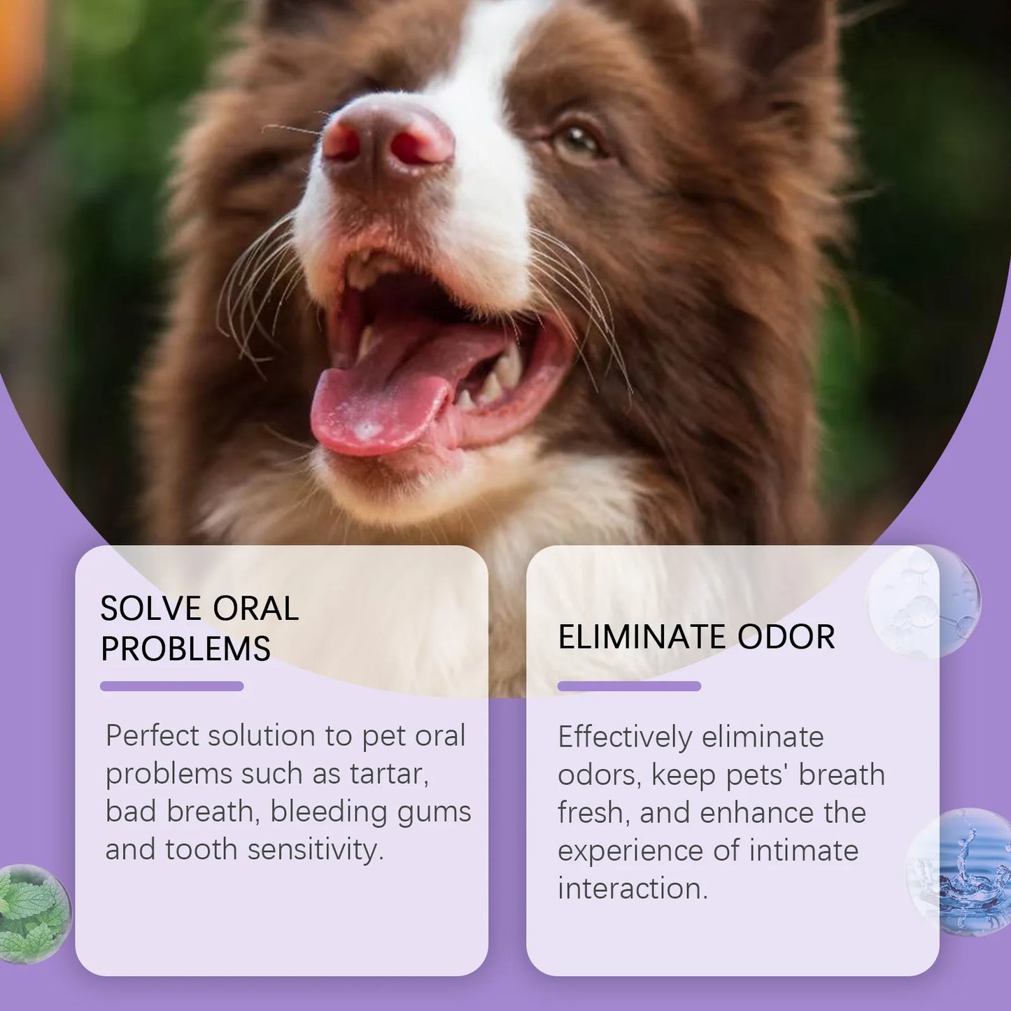 Pet Oral Care Spray (50ml)