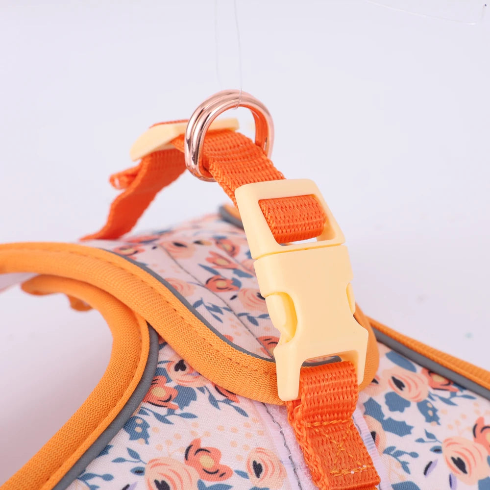 Soft Adjustable Dog Harness & Leash Set