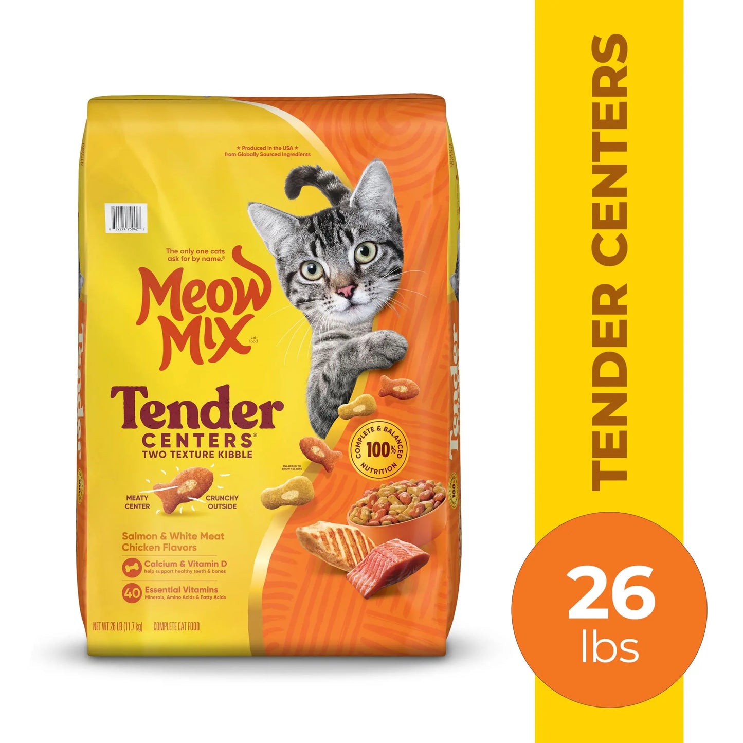Salmon & Chicken Dry Cat Food