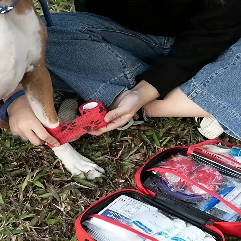 Compact Pet First Aid Kit