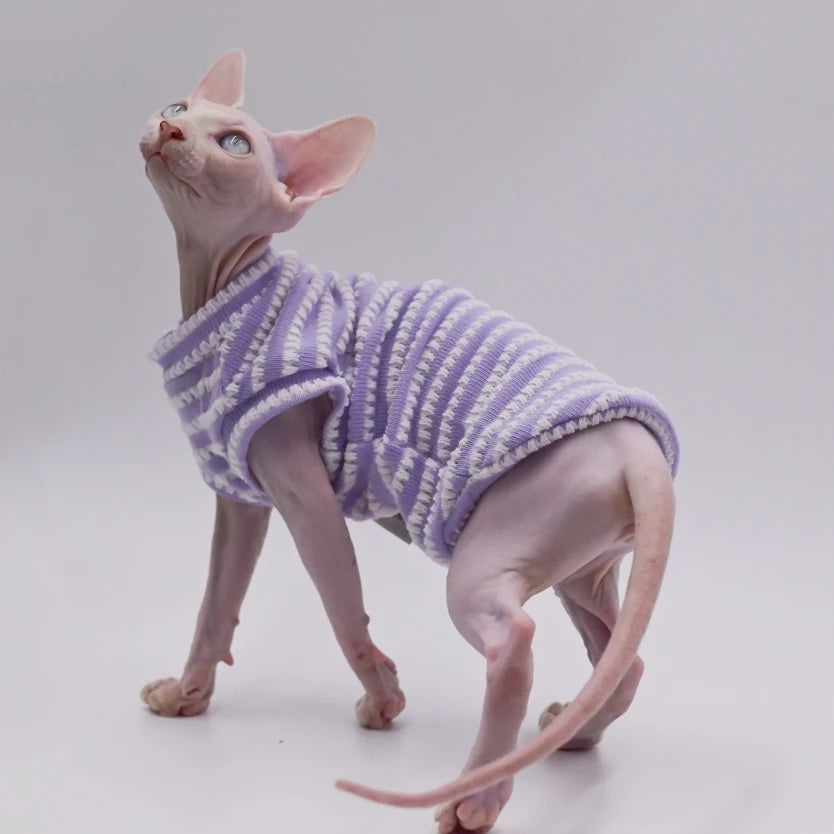 Sphynx Cat Shirt