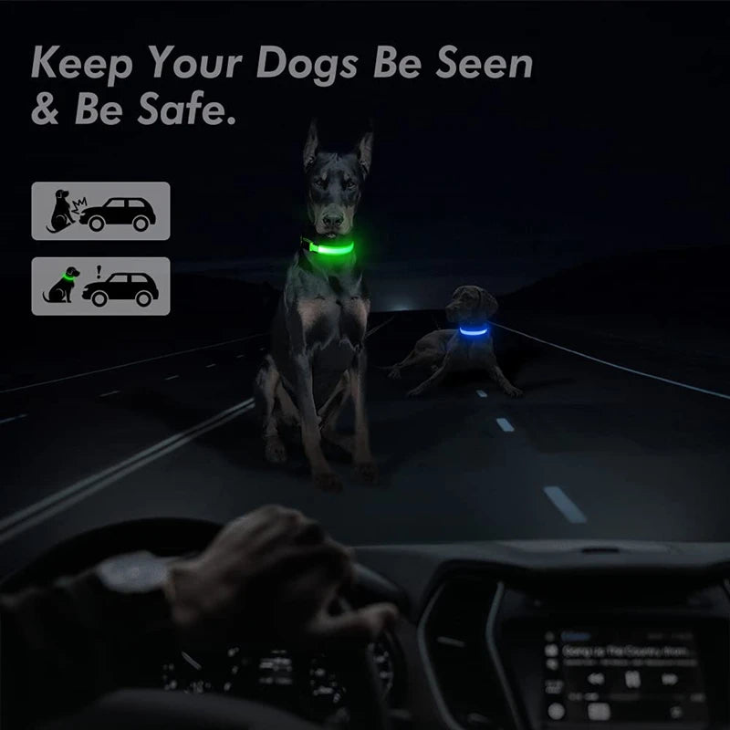 USB Rechargeable LED Glowing Pet Collar