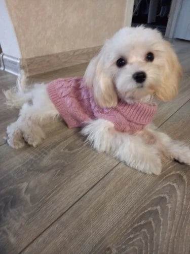 Knitted Pet Sweater