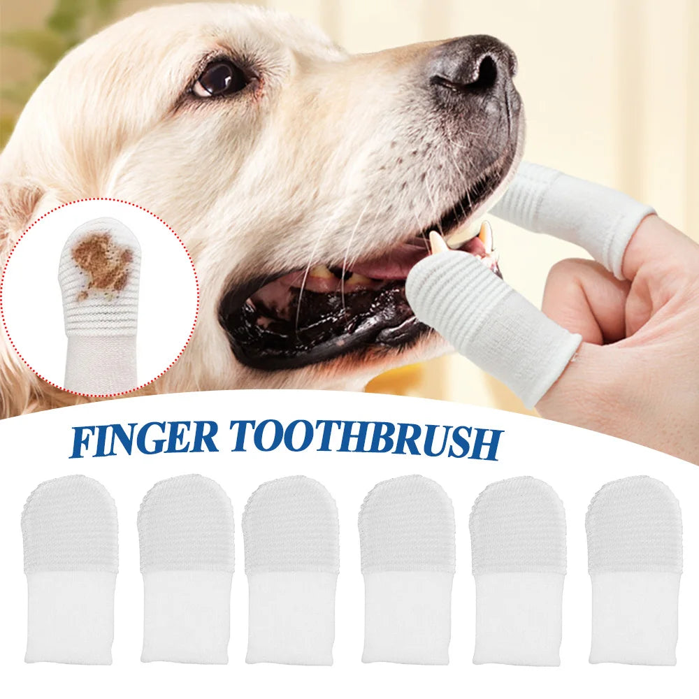 Pet Finger Toothbrush Set (12/24 pcs)