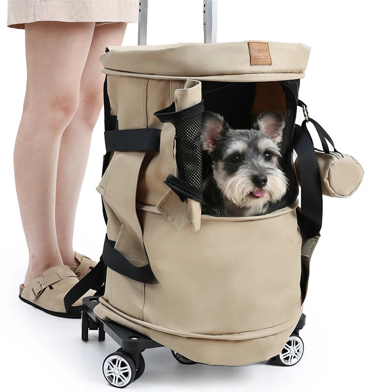 2-in-1 Pet Carrier Backpack & Tote Bag