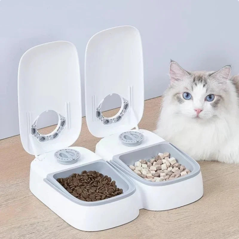 Automatic Pet Feeder & Water Dispenser with Timer