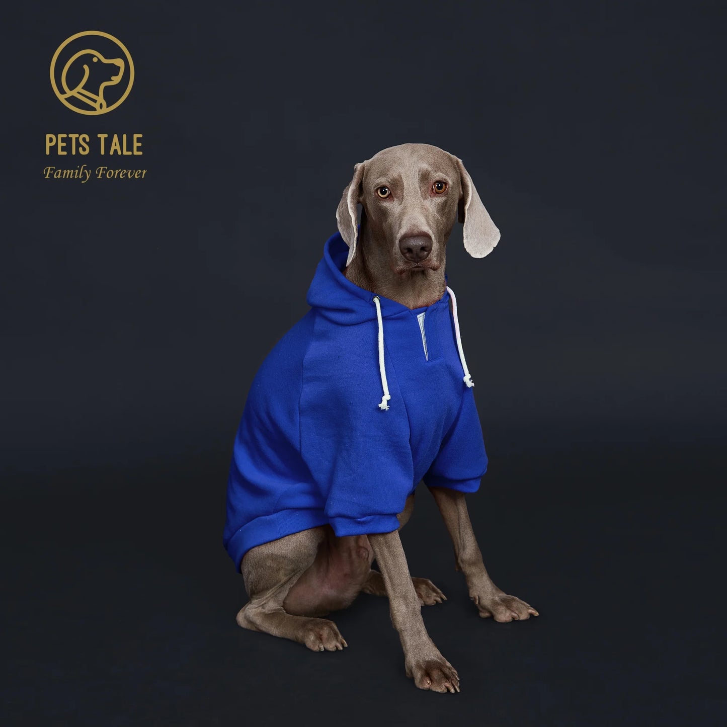 Dog Hoodie with Pocket