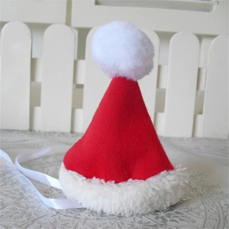 Santa Pet Costume