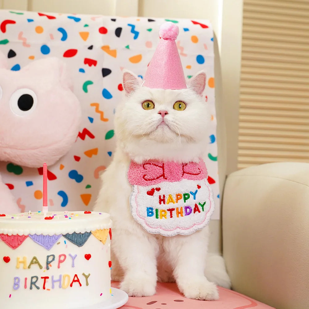 Pet Birthday Hat & Scarf Set