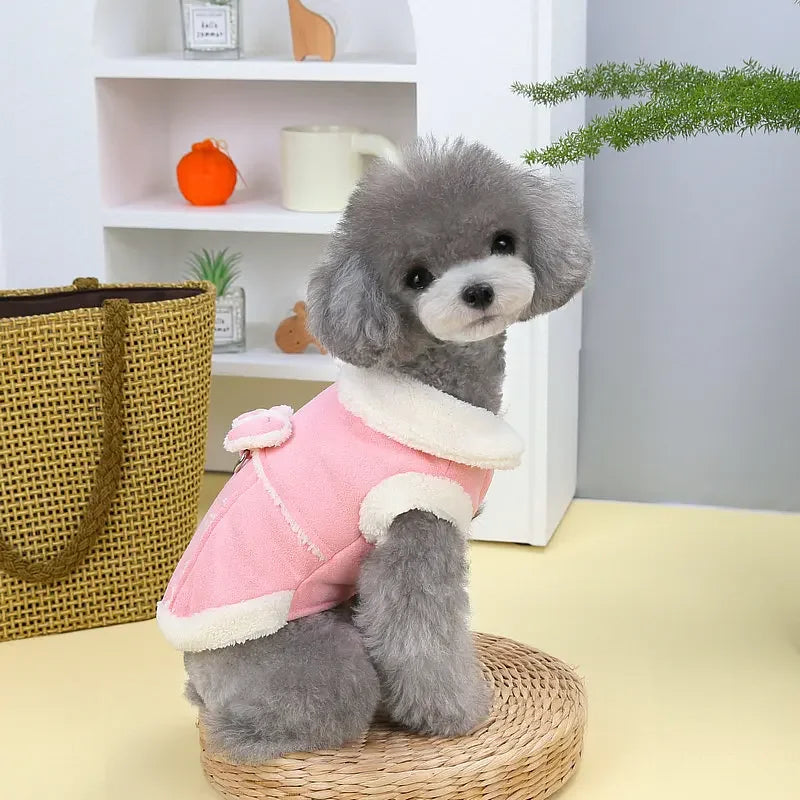 Winter Dog Jacket