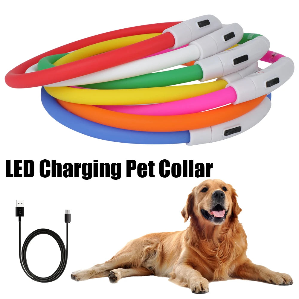 USB Rechargeable LED Dog Safety Collar