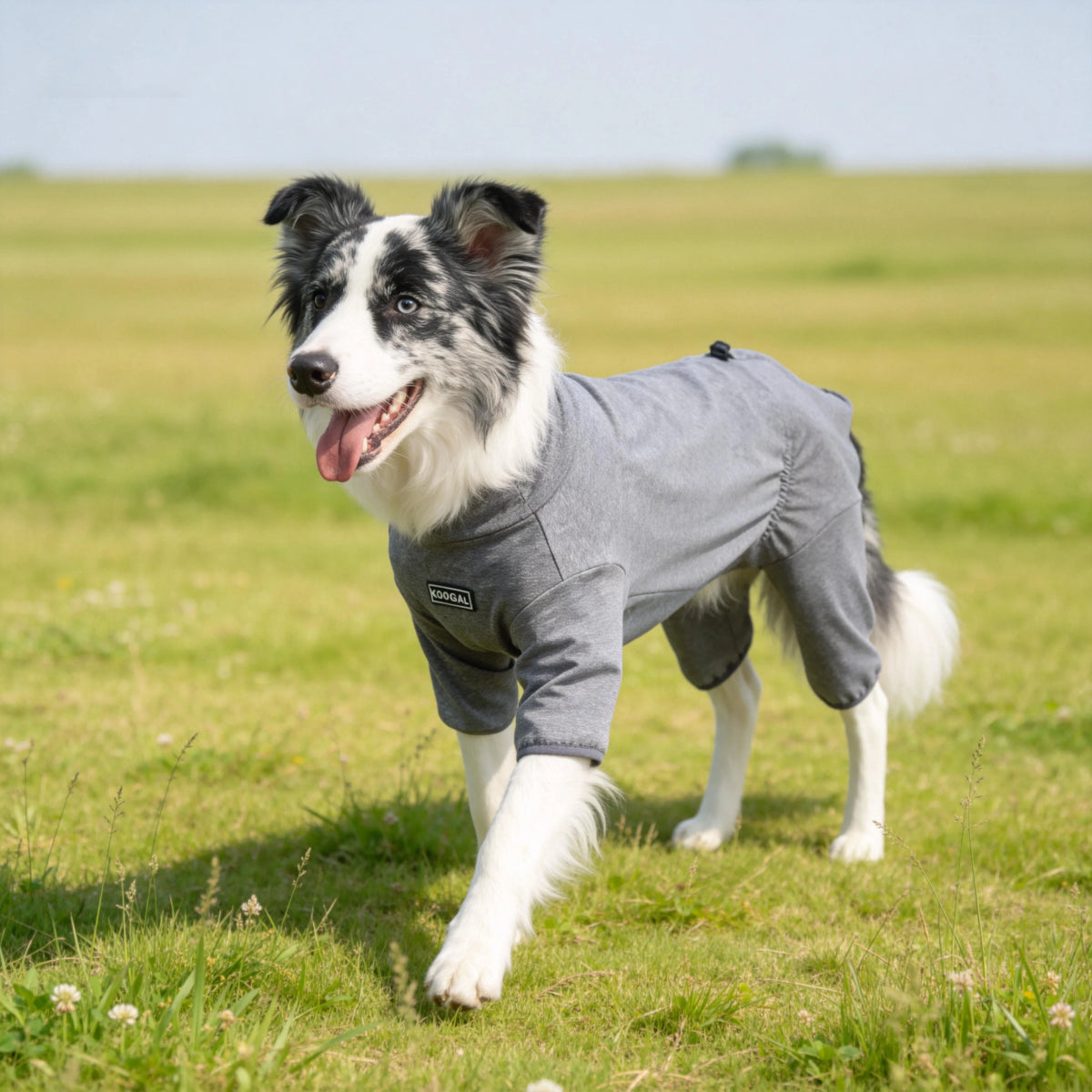 Pet Pajamas