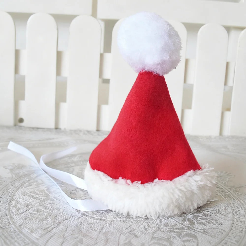 Christmas Santa Pet Costume