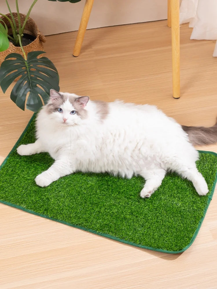 Reusable Artificial Grass Dog Toilet Training Mat
