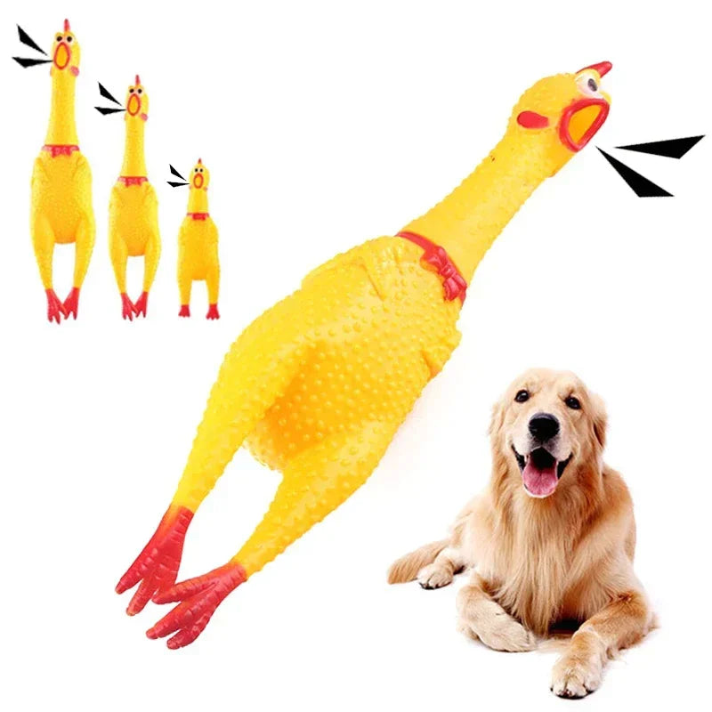 Squeaky Screaming Chicken Dog Toy