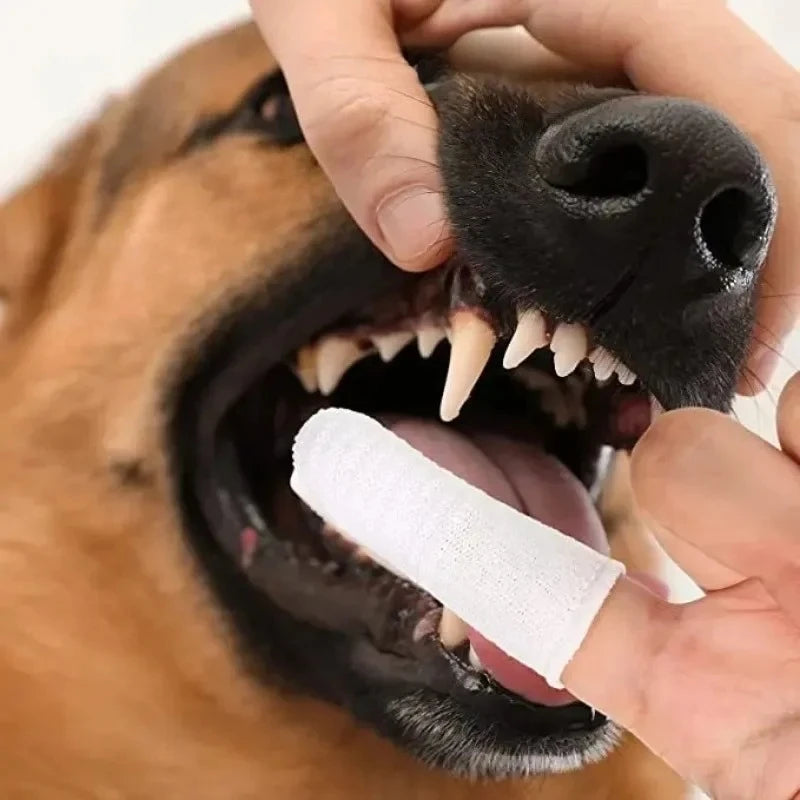 Pet Finger Toothbrush Set (12/24 pcs)